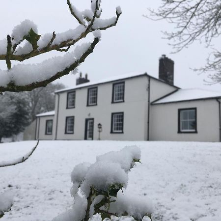 Lanercost Country B&B Brampton  Extérieur photo